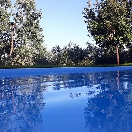 Zelena Kuca- Green House Ližnjan Kültér fotó