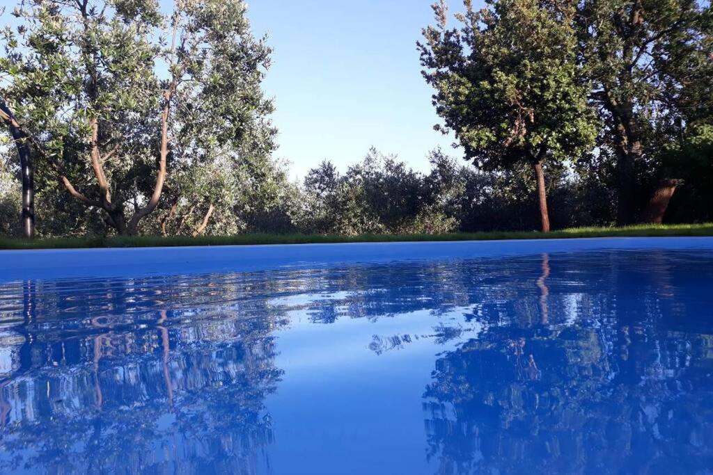 Zelena Kuca- House Villa *