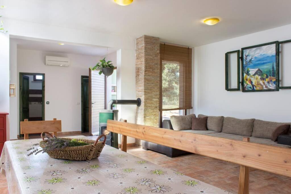 Villa Zelena Kuca- House