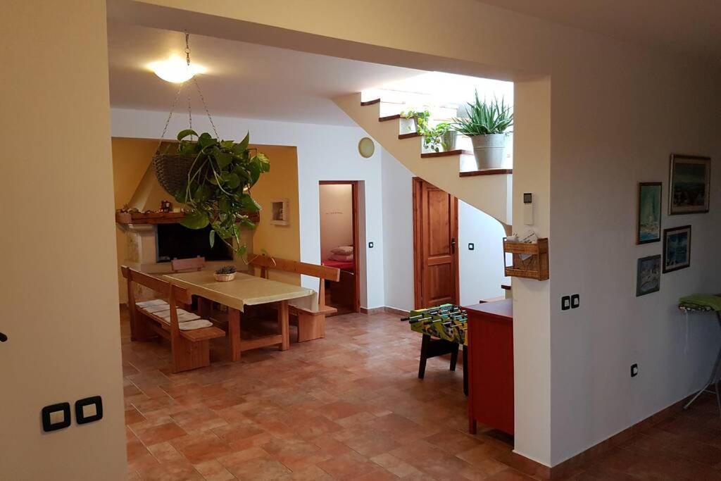 Villa Zelena Kuca- House